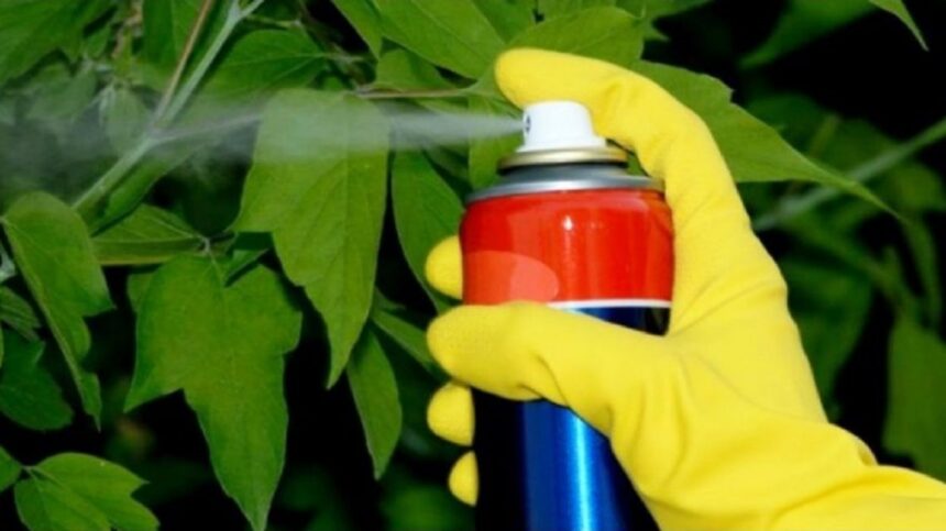 La Anmat ordenó el retiro de cuatro insecticidas de primera marca