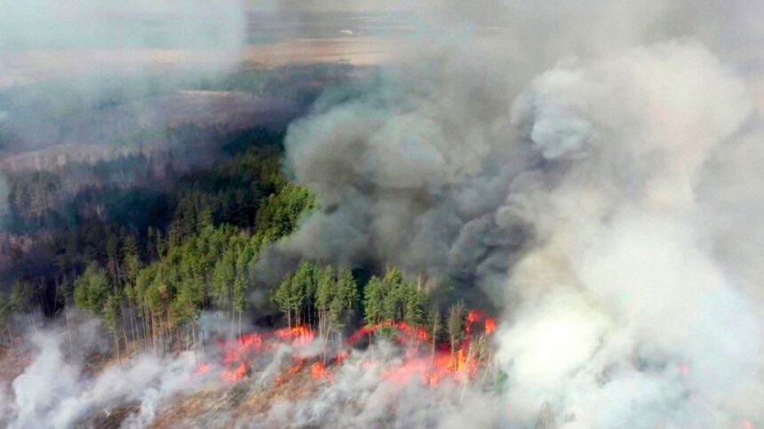 0037564205 Los incendios forestales cerca de Chernobyl están «contenidos» gracias a la lluvia