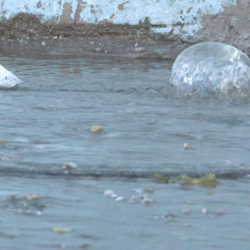 Coronavirus en la Argentina | Cloacas desbordadas y falta de testeos: la difícil realidad de los vecinos de Villa Itatí