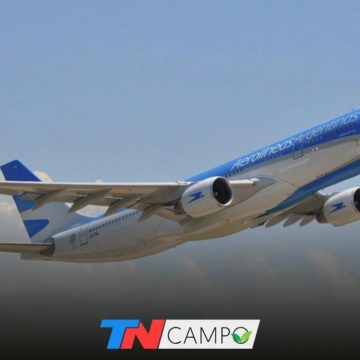 Usarán vuelos sanitarios para exportar vinos a China