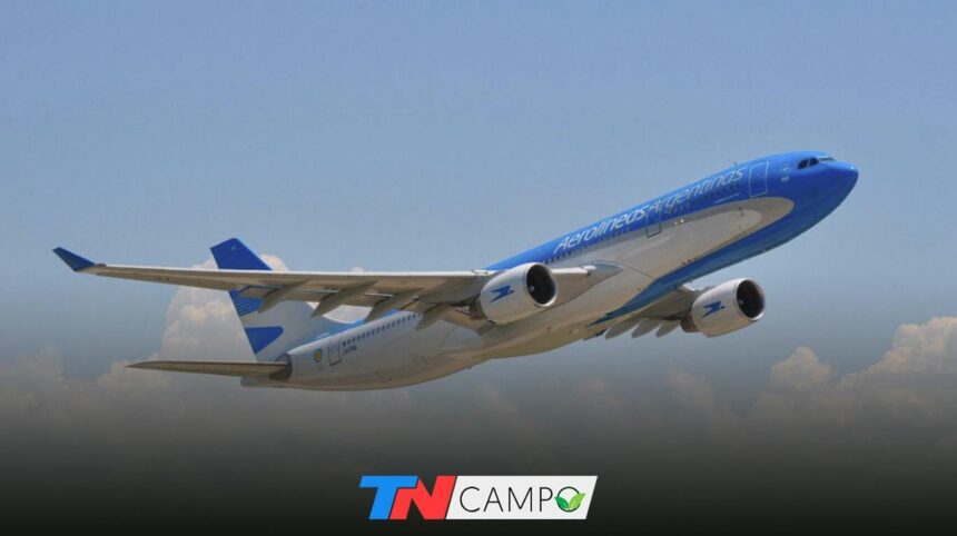 portadaaerolineas Usarán vuelos sanitarios para exportar vinos a China