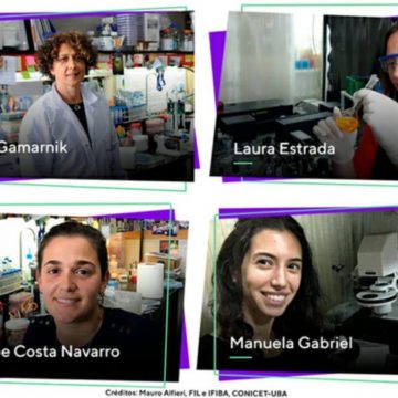 Científicas argentinas logran ver por primera vez el recorrido que hace una proteína del dengue