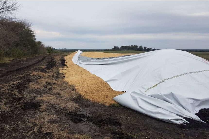 Silobolsas. Presentan una denuncia penal y piden investigar el origen de los ataques