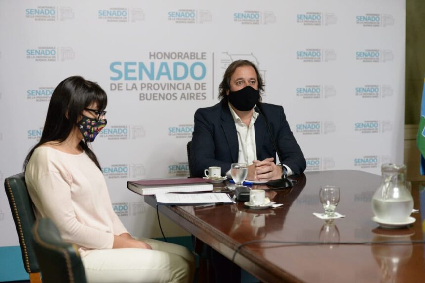 El Senado terminó de conformar sus comisiones