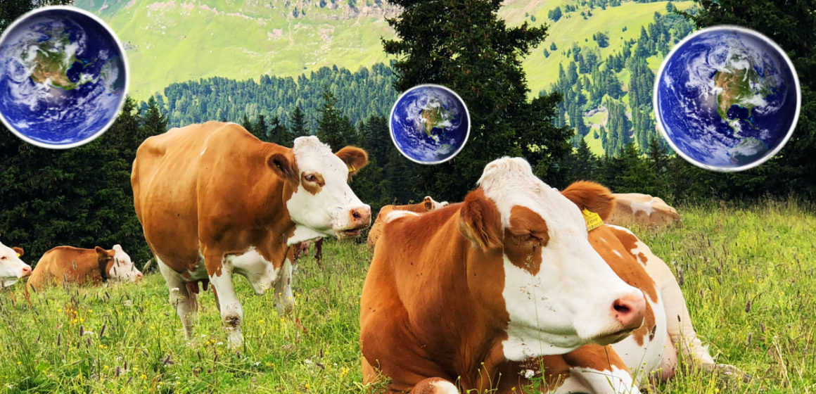 La carne orgánica puede ser tan contaminante como la que no lo es