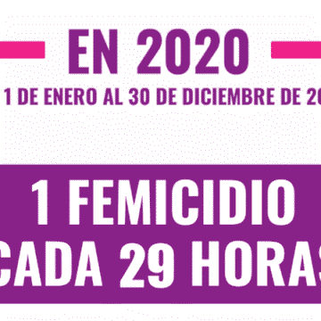 Durante el 2020 hubo 298 femicidios