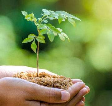 Día Mundial de la Educación Ambiental