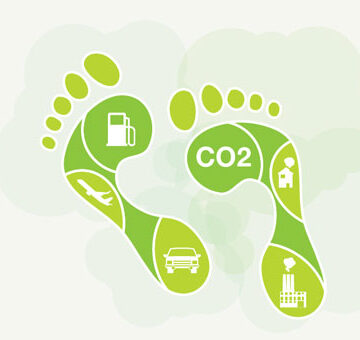 Siete pasos para ser una empresa carbono neutral