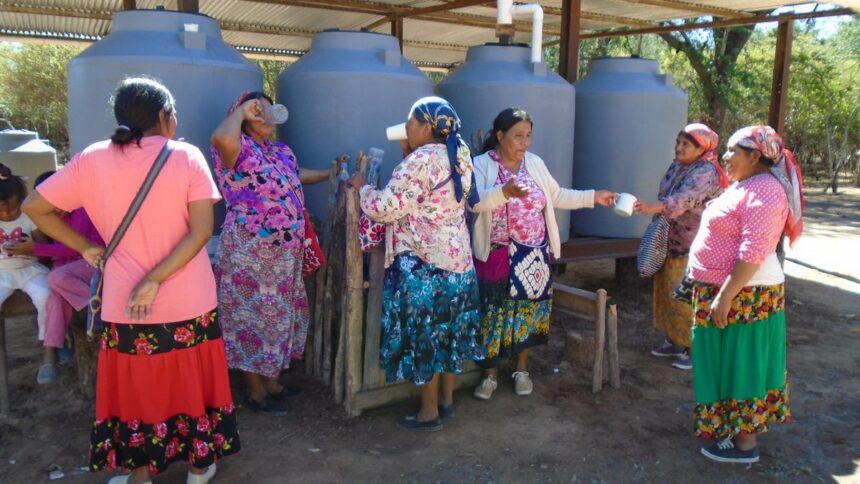 26cba61c-0ba6-435e-bdcb-c74947d1a7cc_16-9-discover-aspect-ratio_default_0 Chaco argentino: un fallo a favor del ambiente busca que indígenas y criollos vivan mejor