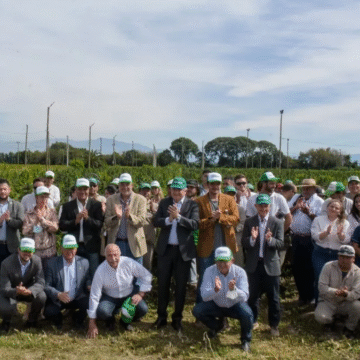 Jujuy: principal productor de cannabis medicinal en América Latina
