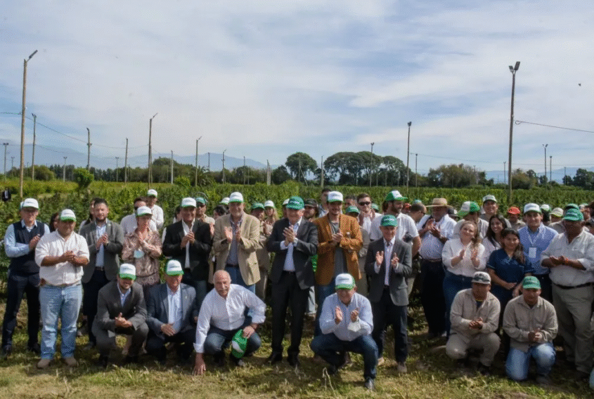 Jujuy: principal productor de cannabis medicinal en América Latina