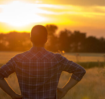 yara2 Yara lanza un torneo virtual para promover la agricultura sostenible