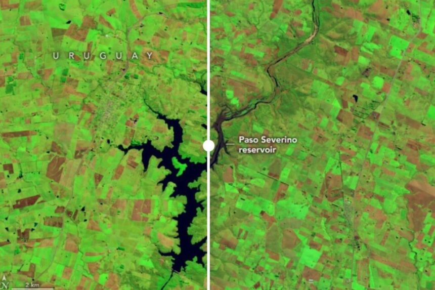 15 Uruguay: las impactantes imágenes que muestran el avance de la sequía