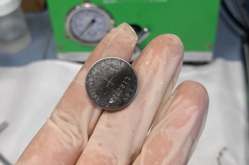 110 Crean pilas recargables con yerba mate usada ¿cómo funcionan?