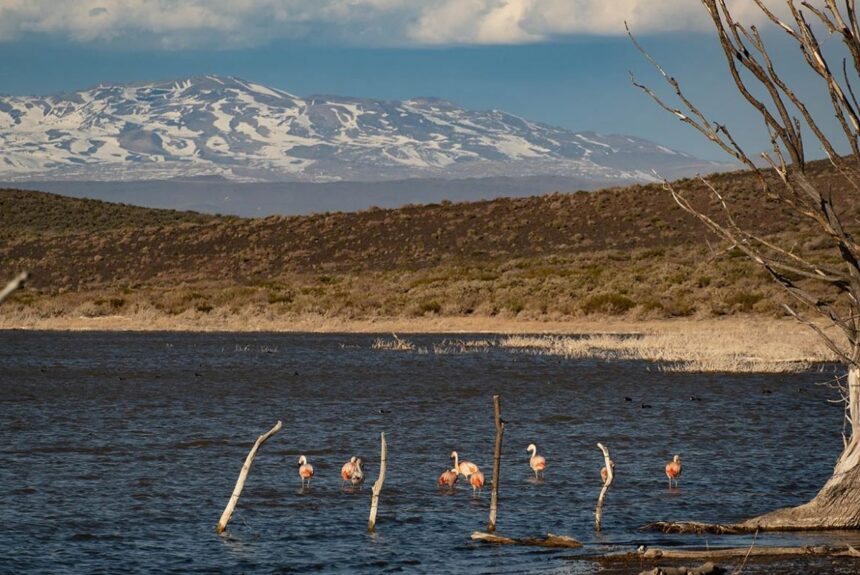Áreas protegidas: por qué se convirtieron en otro blanco expuesto a posibles ataques de la Argentina liberal