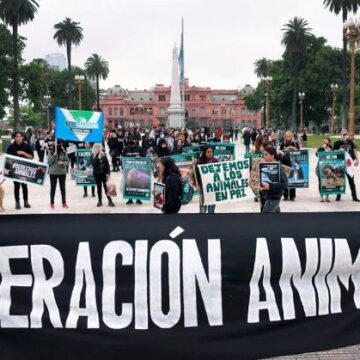 El veganismo «no para de crecer» y es la alimentación más sostenible, según la ONU