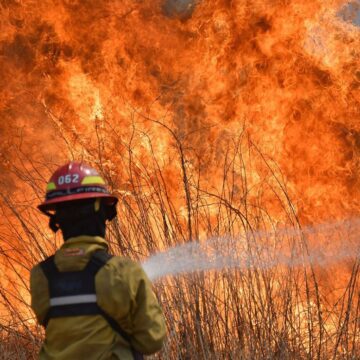 Despidos de guardaparques y sin Plan de Manejo del Fuego: llega el verano y los Parques Nacionales están a la deriva