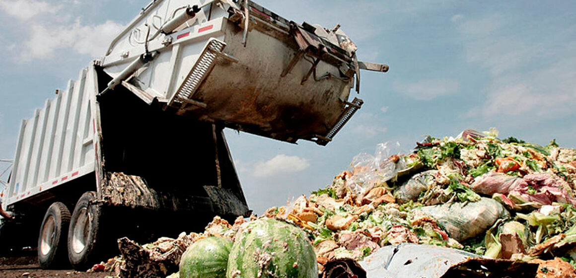 El desperdicio de alimentos aptos para el consumo malgasta recursos nutricionales y atenta contra el ambiente