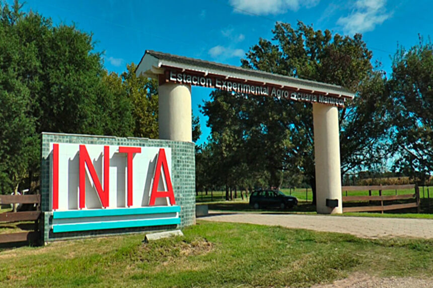 La venta de casi 70 mil hectáreas, otro objetivo del Gobierno en la intervención y desguace del INTA