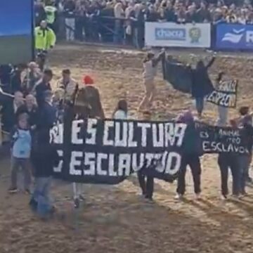 Tensión en La Rural: activistas veganos se manifestaron y fueron escoltados por seguridad