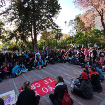 El gobierno profundiza en los medios la criminalización a madres protectoras