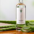 Mezcla de vodka y aloe vera: un eficaz repelente contra moscas
