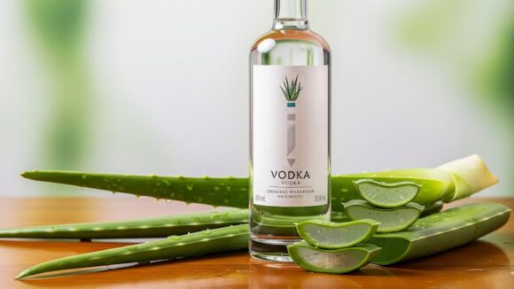 Mezcla de vodka y aloe vera: un eficaz repelente contra moscas
