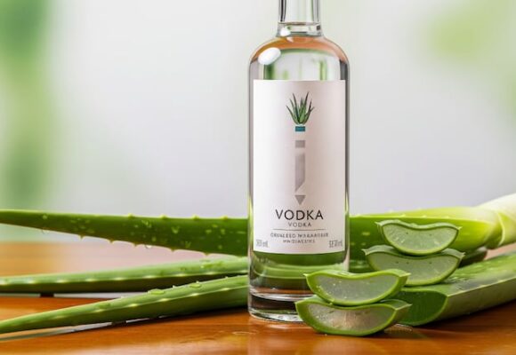 Mezcla de vodka y aloe vera: un eficaz repelente contra moscas