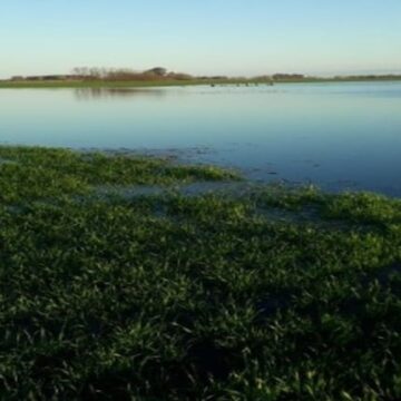 Las lluvias inusuales de agosto generan «grandes oportunidades» para la agricultura, aunque con significativos riesgos
