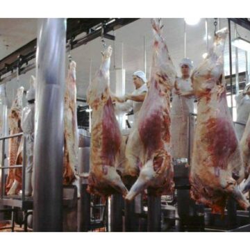 Reducción de Retenciones para Carnes Bovinas y Avícolas