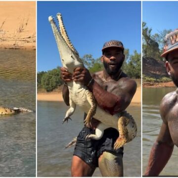 Controversia por un influencer que lucha con un cocodrilo en Australia