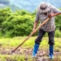 Celebración del Día del Trabajador Rural en Argentina: Sueldos en octubre de 2025