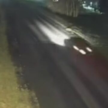 imagen-300 Video revela la fuga del apoderado de la jubilada que falleció tras ser abandonada en la ruta