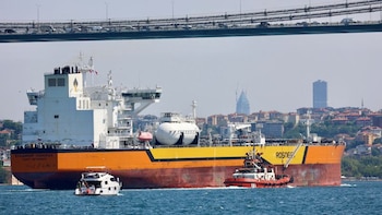 imagen-318 Petroleras estatales chinas detienen compras de crudo ruso tras nuevas sanciones de EE.UU.