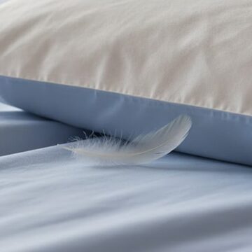 La tradición de colocar una pluma bajo la almohada y su significado