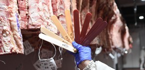 Perspectivas Prometedoras para la Exportación en el Sector Ganadero Argentino