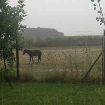 Se anticipan fuertes lluvias para diversas zonas agrícolas en los próximos días