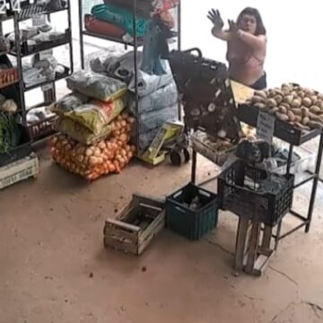 Descontrol en La Plata: una mujer destroza una verdulería con un ladrillo y agredió a una vecina