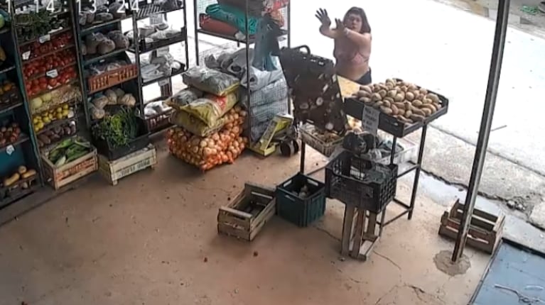 imagen-39 Descontrol en La Plata: una mujer destroza una verdulería con un ladrillo y agredió a una vecina