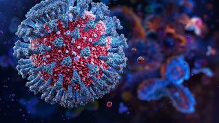 imagen-408 Alerta por virus H3N2 en Neuquén, Argentina: se confirman dos casos aislados