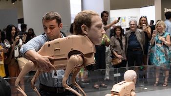 imagen-74 Impacto de perros robóticos en Art Basel Miami Beach