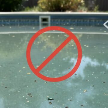 Método eficaz para mantener a los insectos alejados de la piscina