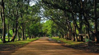 imagen-103 Una playa oculta en Buenos Aires ideal para desconectar y disfrutar del mar