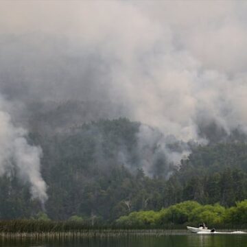 Incendios forestales en Chubut afectan más de 2000 hectáreas