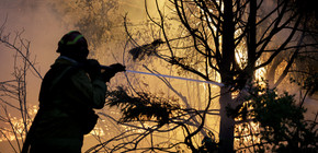 Incendios en Chubut: 3.500 hectáreas afectadas y un llamado a la acción tras un testimonio impactante