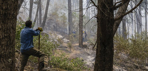 Incendios en Chubut: el fiscal descarta la participación de grupos mapuches