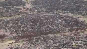 Una caravana de camellos fue crucial para que Luciano Benavides se alzara con el Rally Dakar por solo 2 segundos