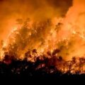 Incendios en el sur de Chile: 15 muertos y 50.000 evacuados