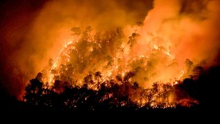 Incendios en el sur de Chile: 15 muertos y 50.000 evacuados