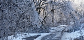 imagen-422 Tormenta invernal en Estados Unidos: empeora la situación en el sur con personas atrapadas sin asistencia